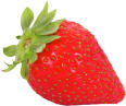 Angel juicer Angelia extracts most nutrition from strawberries for rich antioxidants for health and anti cancer benifit